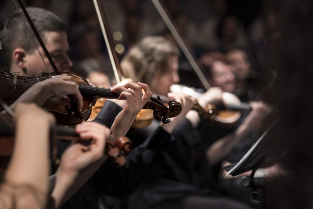 people playing violin in an orchestra