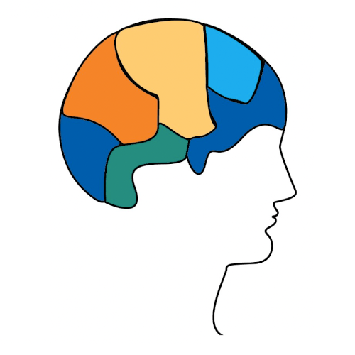 Total Brain Health