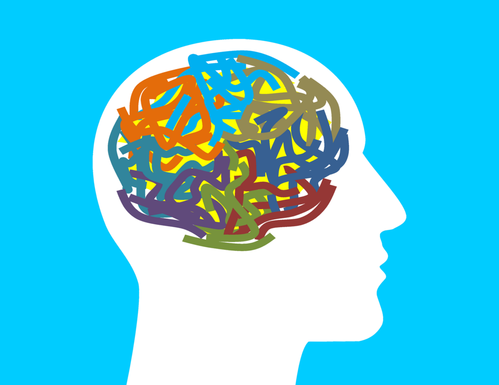 a cartoon drawing of the human brain